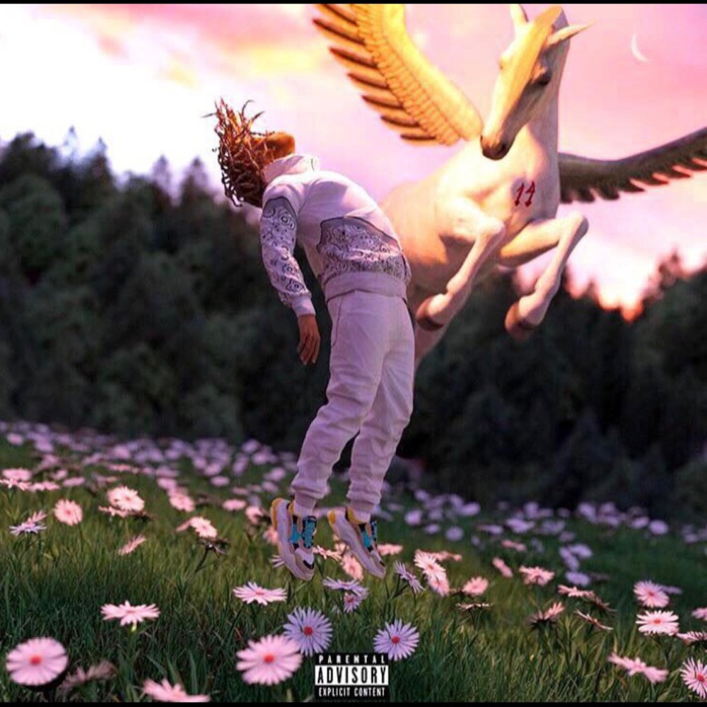 Meet your Posher, Adrian